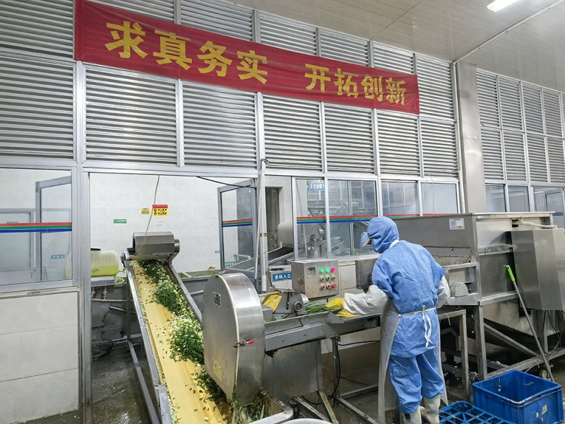 潍坊脱水葱圈系列供应