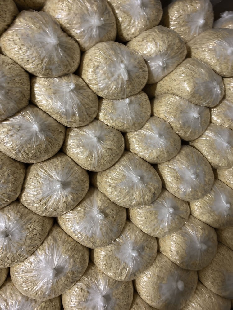 潍坊脱水蒜片系列1